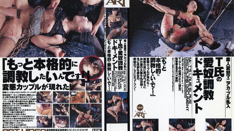T氏の愛奴調教ドキュメント 結城ひかり のAV女優まとめ 