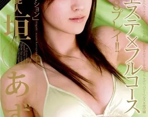 【AIリマスター】芸能人 板垣あずさ 性感エステ×フルコース 200分スペシャル のAV女優まとめ